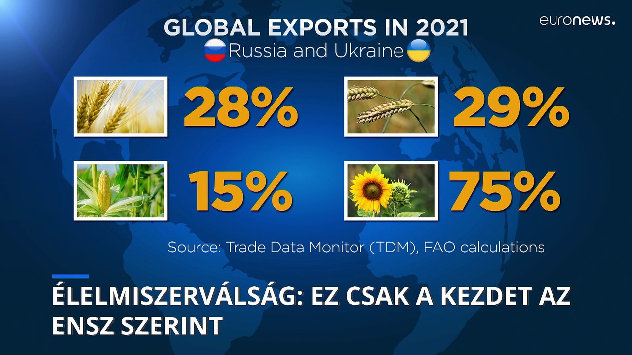 Az ENSZ szerint ez még csak az élelmiszerválság kezdete és nem látszik a kiút