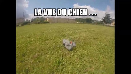 balou le 5 juin 2022