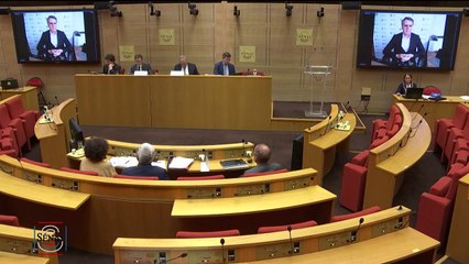 Paris final police were looking for trouble - Liverpool Metro Mayor tells French Senate investigation