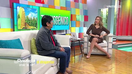 Demetrio Pérez habló sobre el maíz transgénico que se cosechará en el norte de Santa Cruz