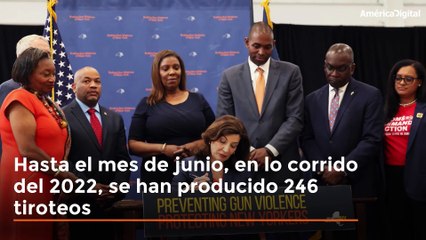 Nueva York eleva a 21 años la edad mínima para comprar un rifle de asalto