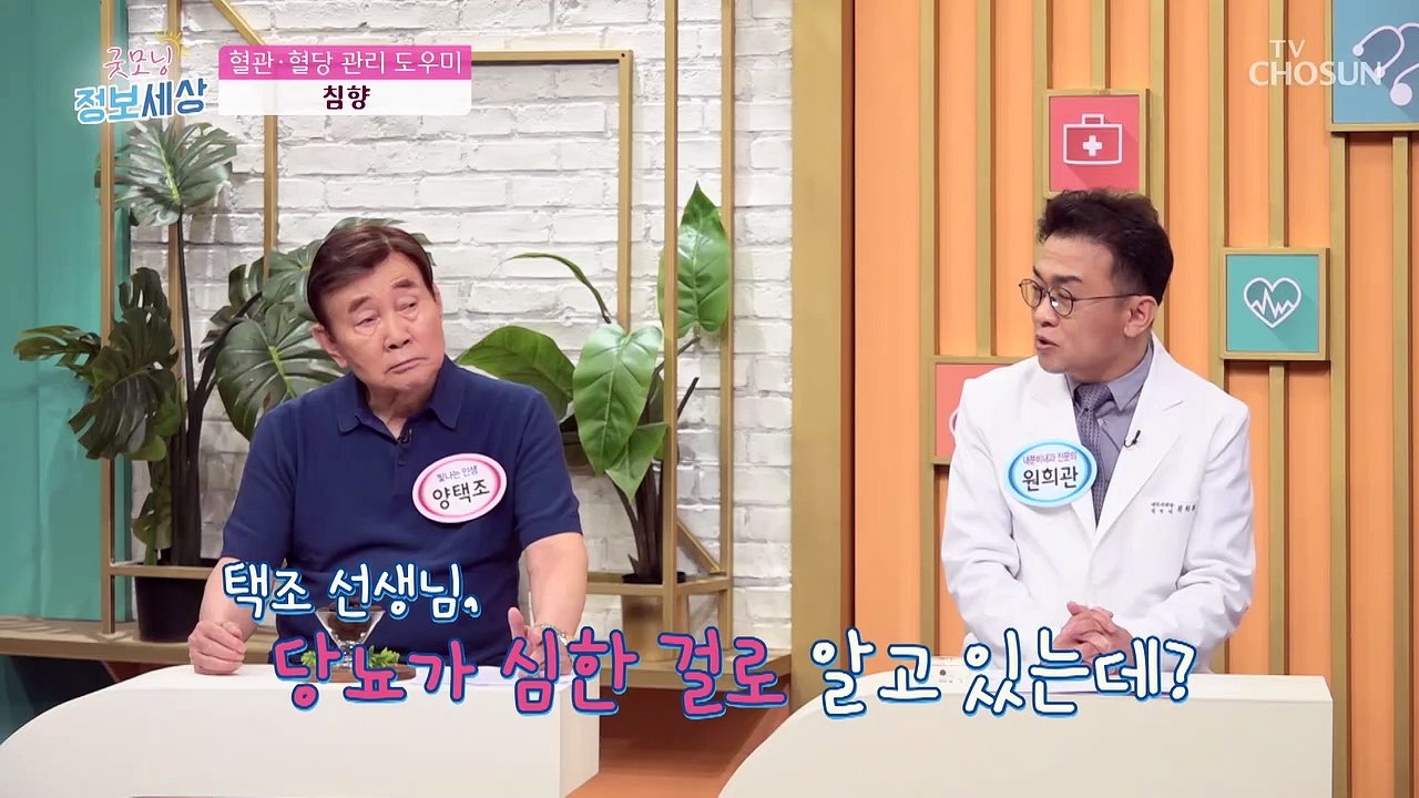 혈관 지킴이!! 혈관과 혈당 관리에 도움 주는 '침향' TV CHOSUN 220610 방송