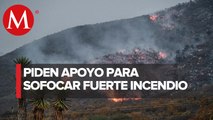 Incendio forestal en Tula, Tamaulipas afecta por lo menos 4 ejidos; habitantes claman por ayuda
