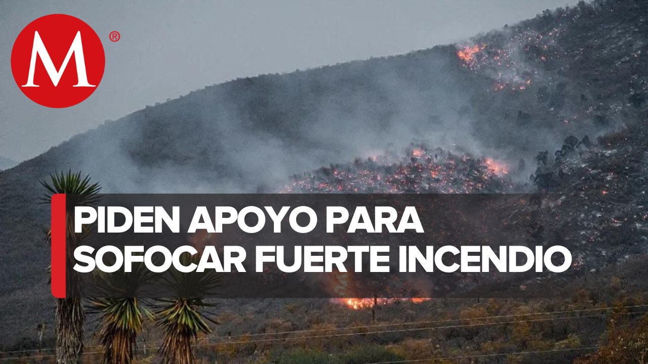 Incendio forestal en Tula, Tamaulipas afecta por lo menos 4 ejidos; habitantes claman por ayuda