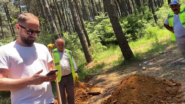 Aydos Ormanı’na 'millet bahçesi': Çevre savunucuları ağaç tahribatına karşı çıktı, çalışma şimdilik durdu