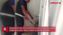 Duvardaki su borusu deliğinde yılan yakalandı