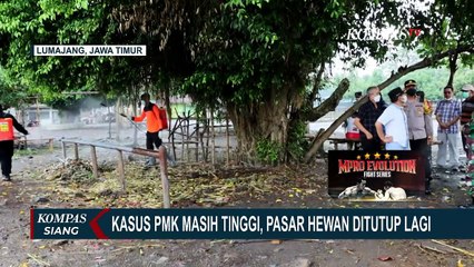 PMK Semakin Tak Terkendali, Bupati Pakai Dana Penanganan Bencana untuk Beli Obat dan Vaksin