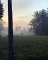 Morning Fog in the Village | Kabut Pagi di Desa | Gema Takbir Hari Raya
