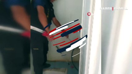 Evin öyle bir yerinden çıktı ki... Yılanı görenler şok oldu!