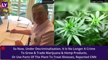 Thailand Passes Law Allowing Cannabis Farming, But Recreational Use Still Banned: What's Allowed, What's Not