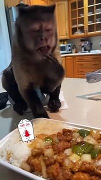 Dinner!! Gaitlyn Rae