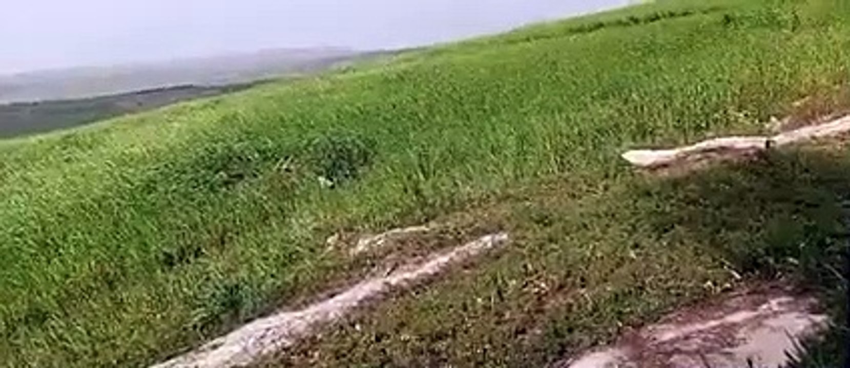 Ait bou Ali tidili massfioua Marrakech Maroc