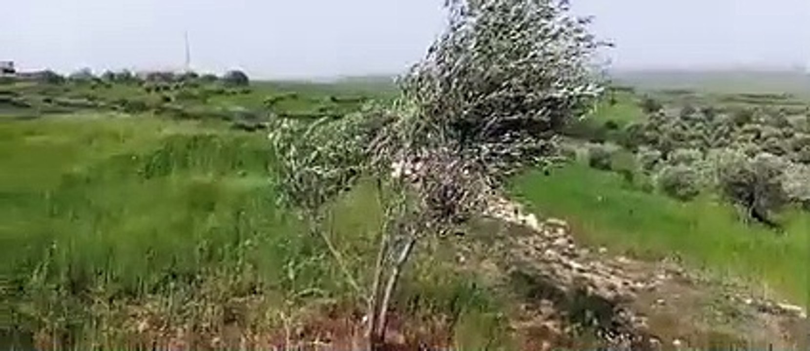 Ait bou Ali tidili massfioua Marrakech Maroc