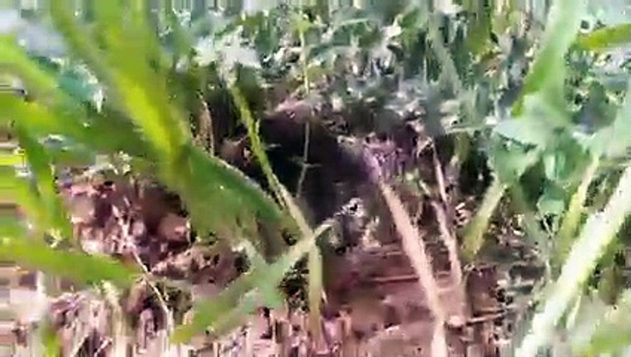 Ait bou Ali tidili massfioua Marrakech Maroc