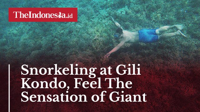Snorkeling at Gili Kondo, Feel The Sensation of Giant Aquarium