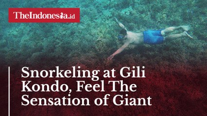 Snorkeling at Gili Kondo, Feel The Sensation of Giant Aquarium