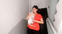 Lise öğrencisi, kedisi Duman'a kavuşunca sevinçten gözyaşlarına boğuldu