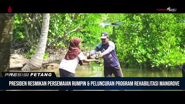 Presiden Jokowi Resmikan Persemaian Rumpin Dan Peluncuran Program Rehabilitasi Mangrove