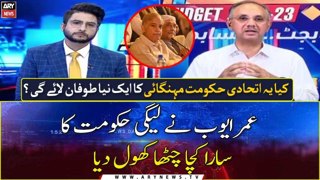 Omar Ayub slams PML-N government for proposed federal budget