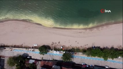 Karadeniz’deki renk değişimi ‘Polen’ kaynaklı