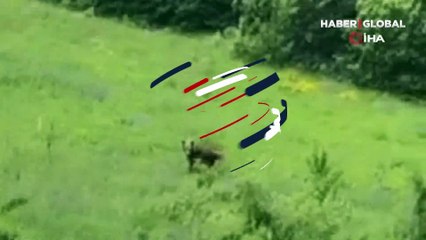 Ayı ile karşılaştı, gülümseten anlar yaşandı