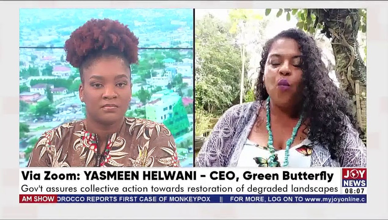 Gov’t assures collective action towards restoration of degraded landscapes - AM Talk on Joy News