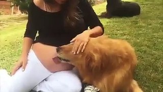 Lovely dogs and people , the love of dogs