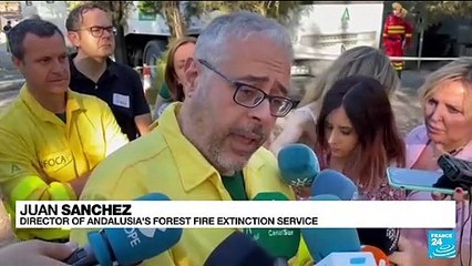 Wildfire in southern Spain stabilised, people allowed back home