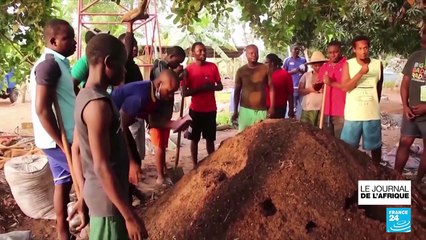 Agriculture durable au Bénin: un stage pour perfectionner les techniques