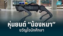 หุ่นยนต์ “น้องหมา” ขวัญใจนักศึกษาวิศวะ มช. | เข้มข่าวค่ำ | 10 มิ.ย. 65