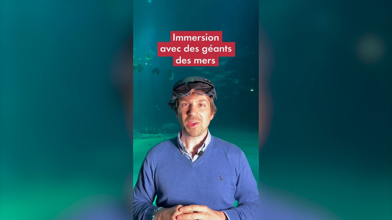 Immersion avec des géants des mers en réalité augmentée à Nausicaá