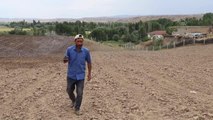 Çankırılı çiftçi, tarlasında bulduğu taşın incelenmesini istiyor