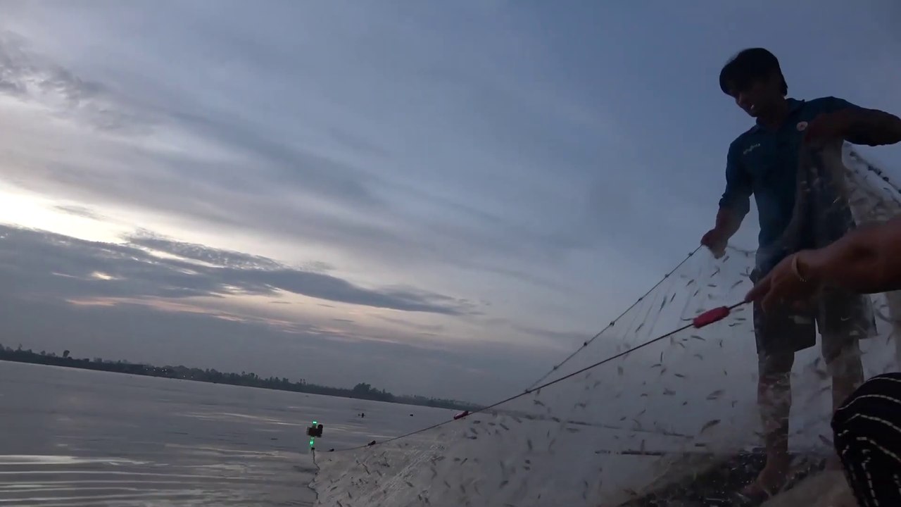 NHÀ HAI LÚA | TRÚNG MÙA CÁ CƠM TRÊN SÔNG TIỀN