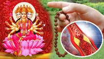 Gayatri Jayanti 2022: गायत्री मंत्र वैज्ञानिक महत्व | Gayatri Mantra Ka Scientific Reason|*Religion