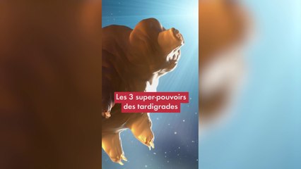 Les 3 super-pouvoirs des tardigrades