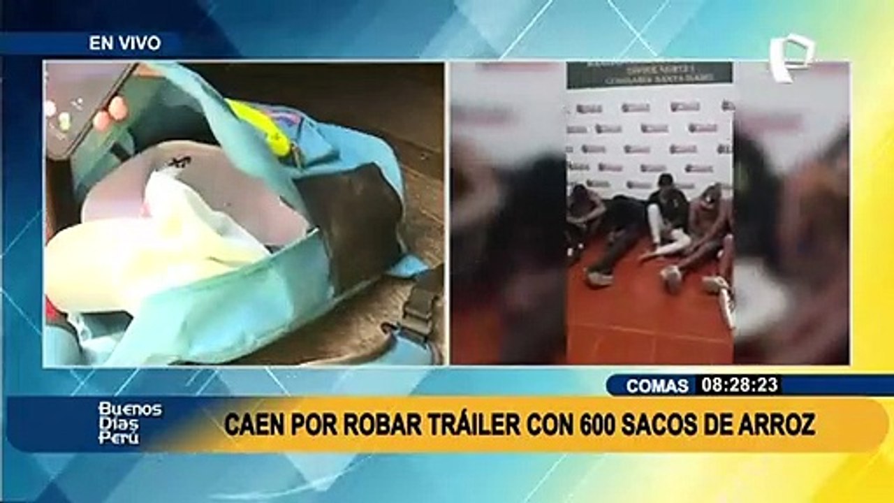 Capturan a nueve extranjeros por robar camión con 600 sacos de arroz valorizados en S/87 mil
