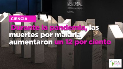 Brasil inaugura memorial en homenaje a los muertos por COVID-19