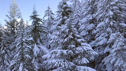 Video created for kids: NO