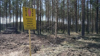 Finlândia construirá muros na fronteira com Rússia