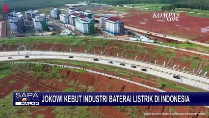 Ingin Jadi Produsen Baterai Mobil Listrik Terbesar di Dunia, Indonesia Kerja Sama dengan Tesla!
