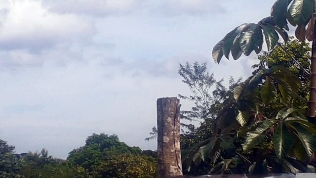 Airbus A321 PT-XPD vindo de Brasília para Manaus