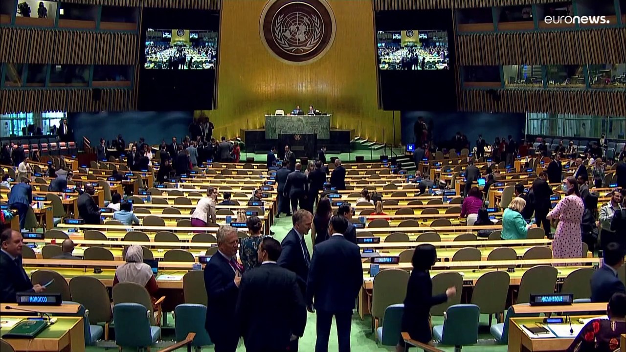 Moçambique vai ser a voz de África no Conselho de Segurança da ONU