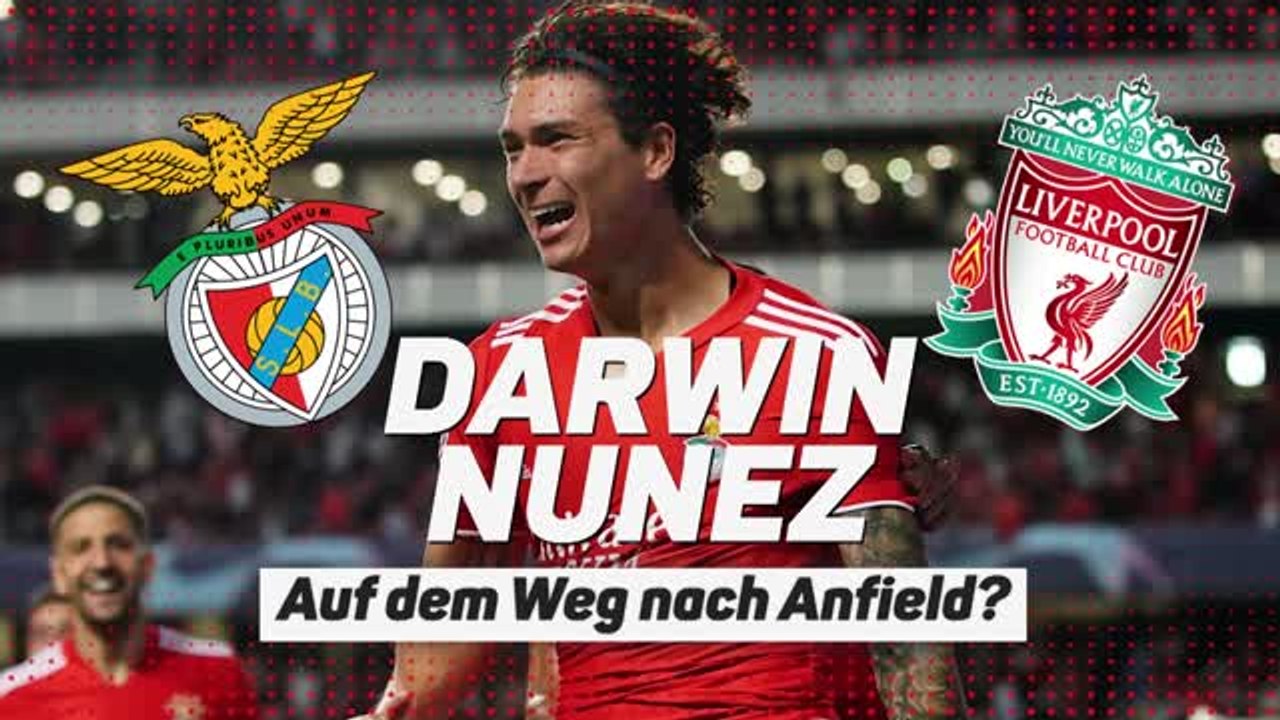 Supertalent darwin nunez: auf dem weg nach anfield?