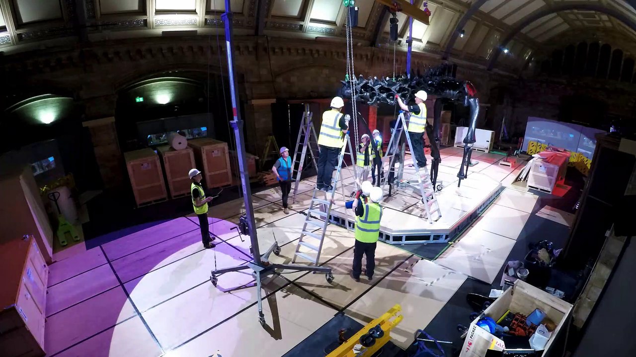 Dippy the Dinosaur installation timelapse. Credit: NHS