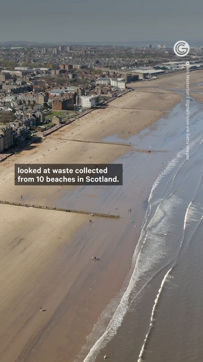 Antibiotic-Resistant Fecal Bacteria Found on Beaches