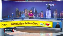 Sowan hingga Bentuk Koalisi, Parpol & Capres Mulai Manuver Jelang Pilpres 2024! Siapa Saja?