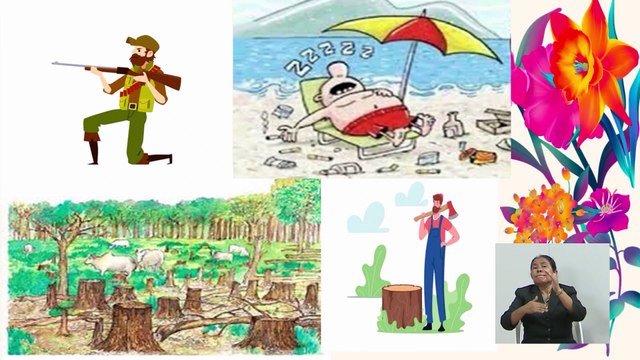 Estudios Sociales (11 y 12 de Junio)