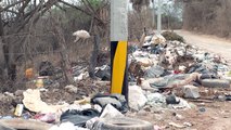 Basurero clandestino se ha formado en la brecha de viejo basurero | CPS Noticias Puerto Vallarta
