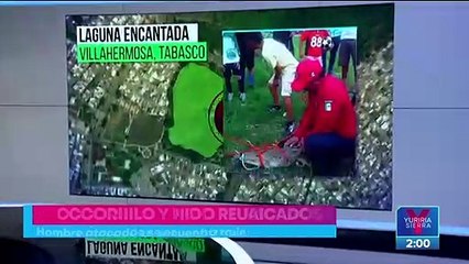 VIDEO: Cocodrilo ataca a hombre en Tabasco