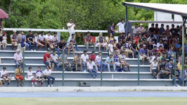 DELFINES PVRN invitan a Vallartenses a ser parte de su escuadra | CPS Noticias Puerto Vallarta